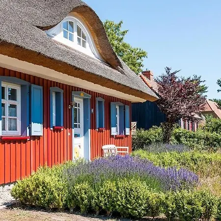 펜션 Kloenhus 보른